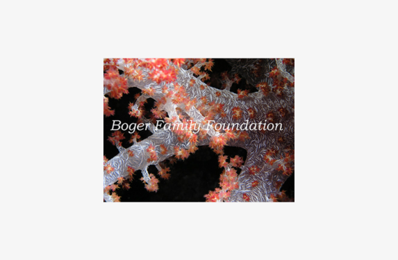 Boger Family Foundation