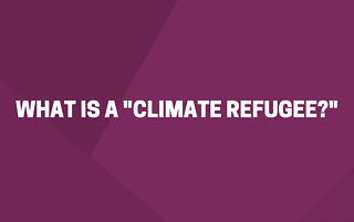 What is a Climate Refugee Blog Headline