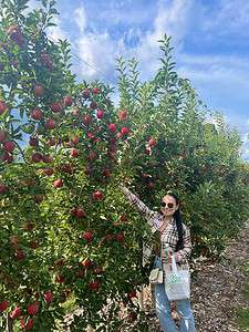 Jessica apple picking