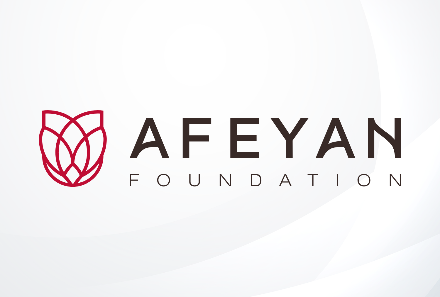 Afeyan Foundation