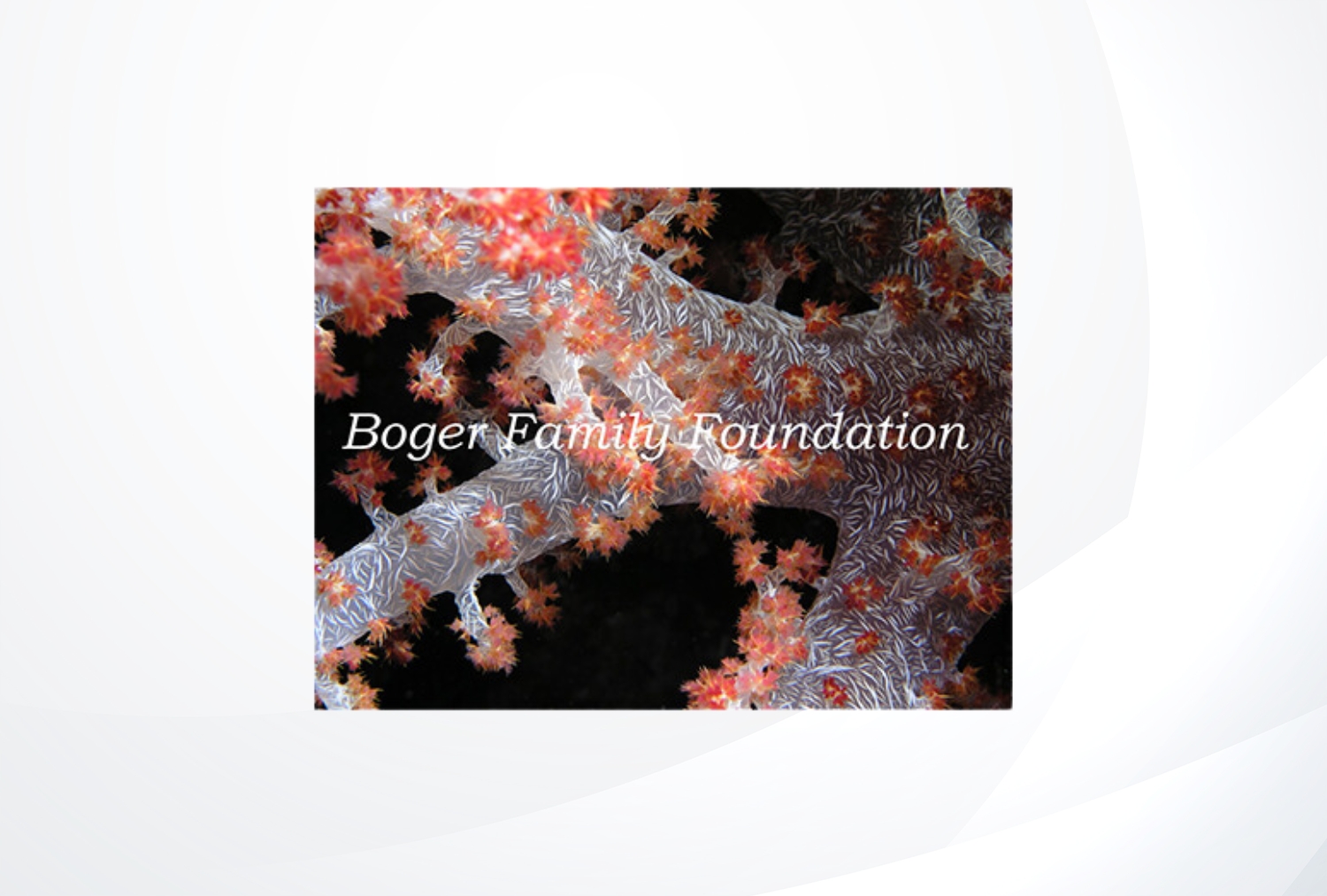 Boger Family Foundation 