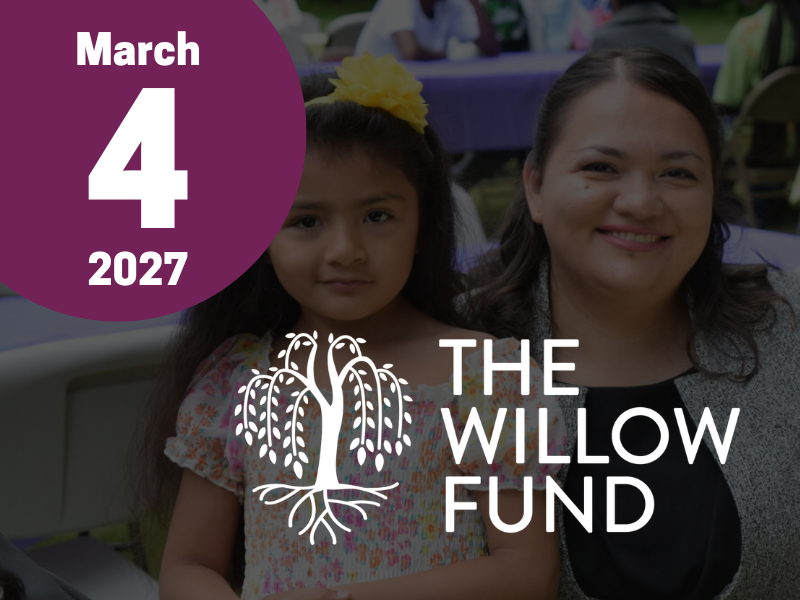 WILLOW Fund Panel